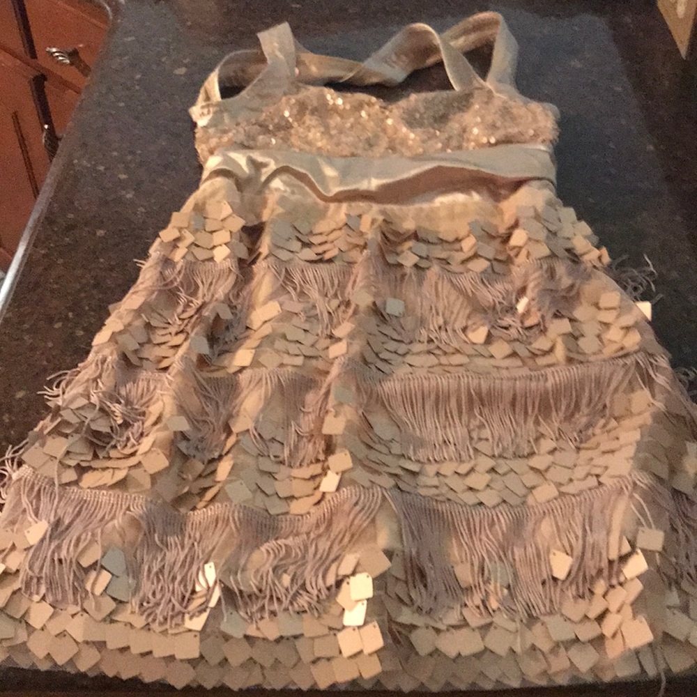 Performer’s Dress